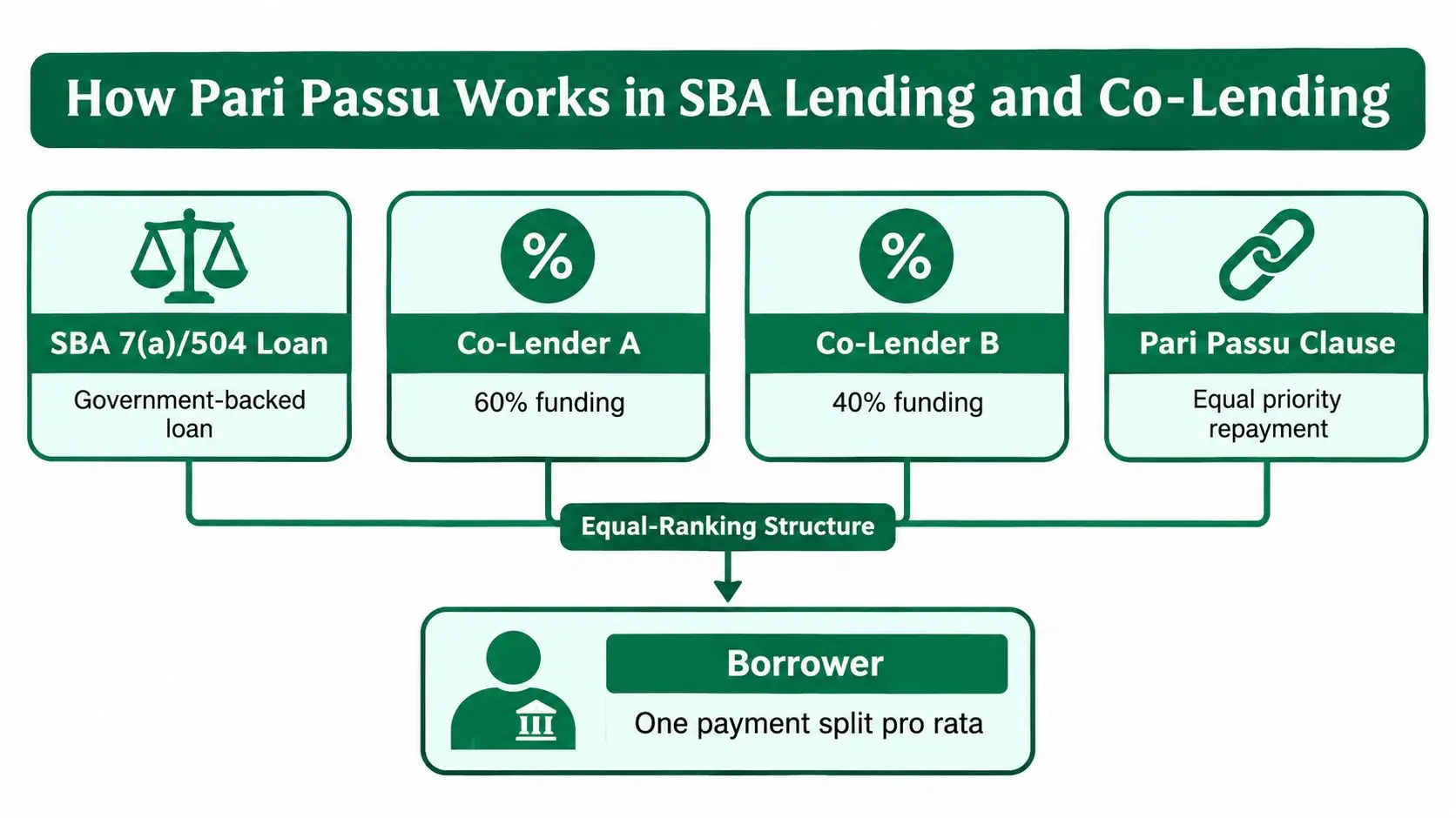 A diagram explaining how pari passu works in SBA lending and co-lending with an equal-ranking structure.